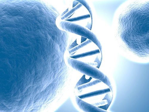 72个新的导致乳腺癌风险的遗传变异已经确定